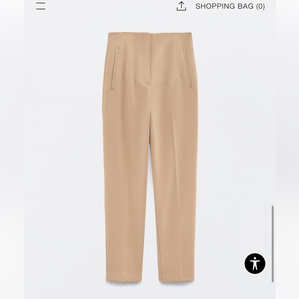 Zara High Waisted Pants